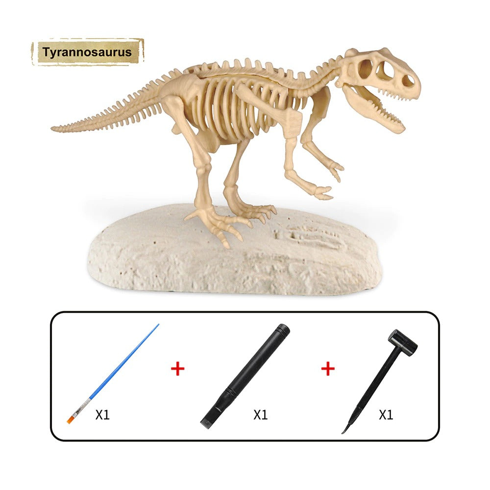 Dino Discovery Opgravingsset Voor Fossielen Ontdek je eigen dinosaurusskelet